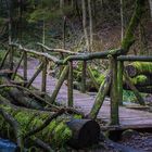 Holzbrücke Wieslaufschlucht
