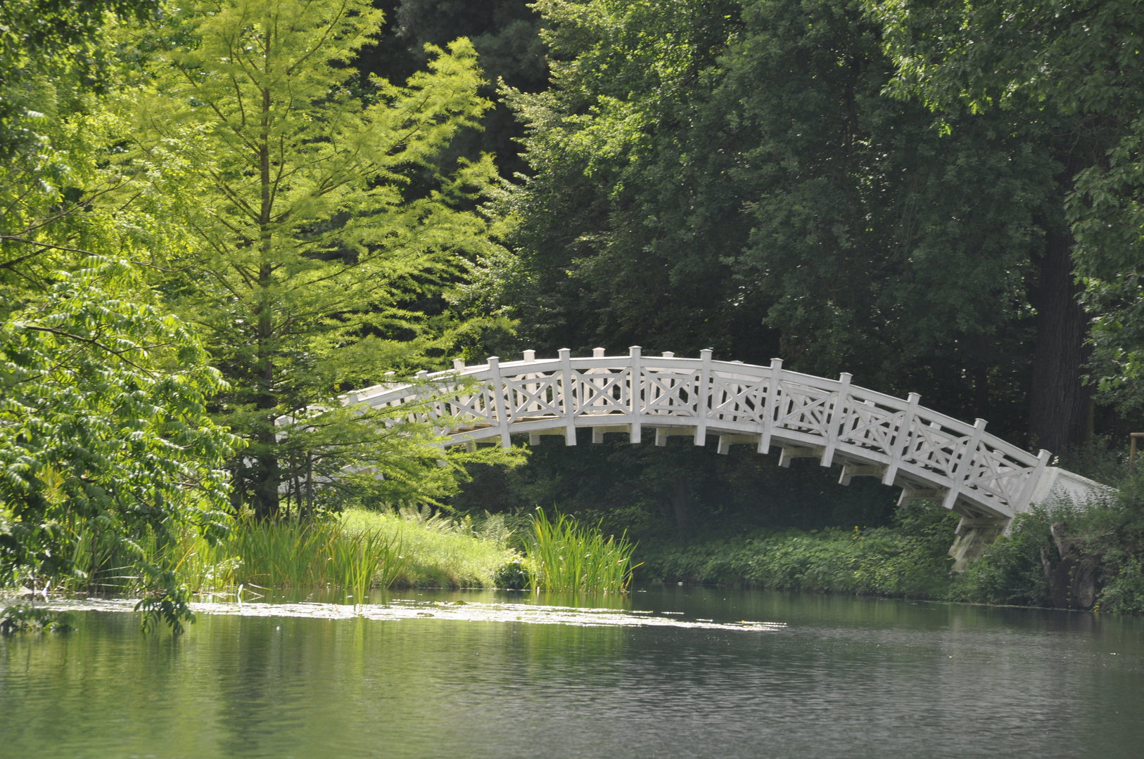 Holzbrücke-Wörlitz