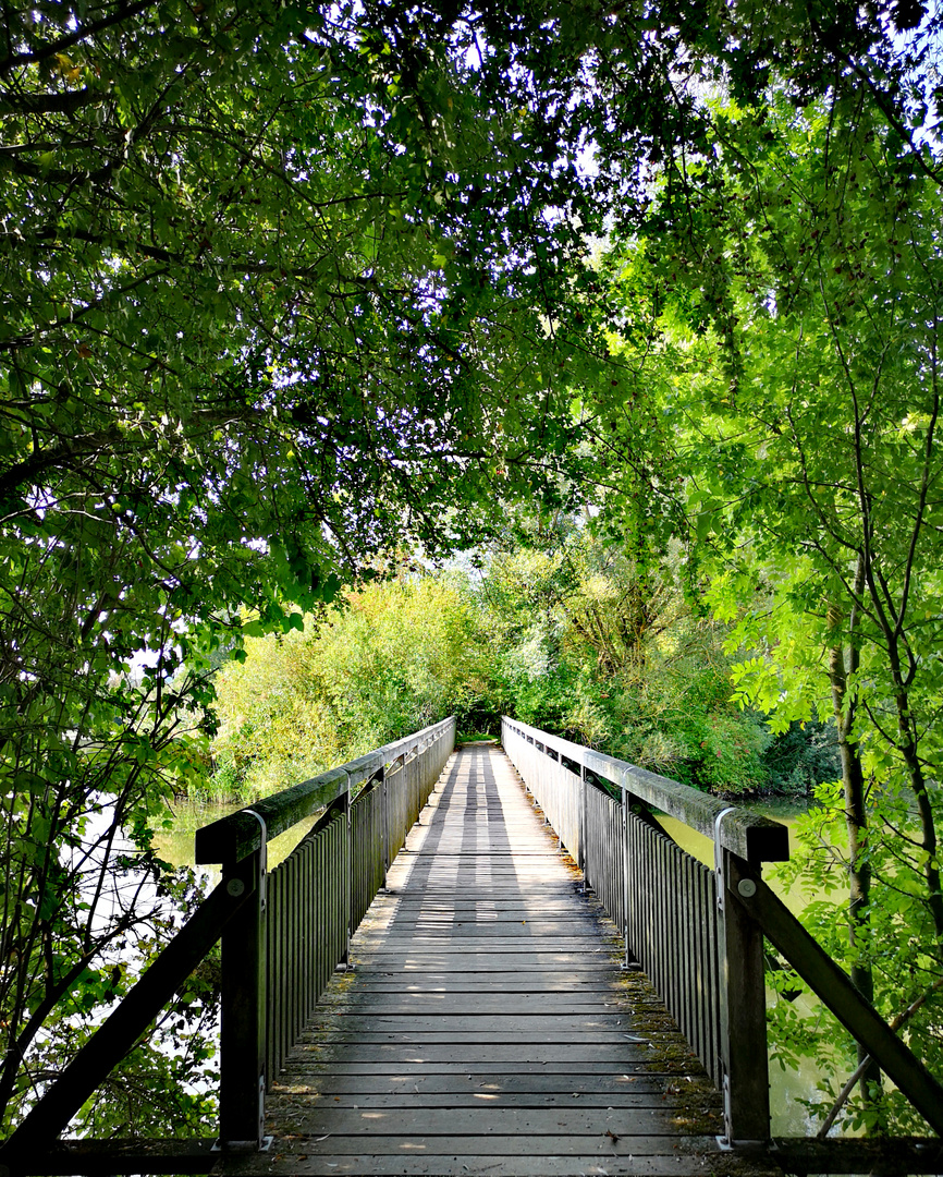 Holzbrücke, wohin geht´s?