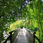 Holzbrücke, wohin geht´s?