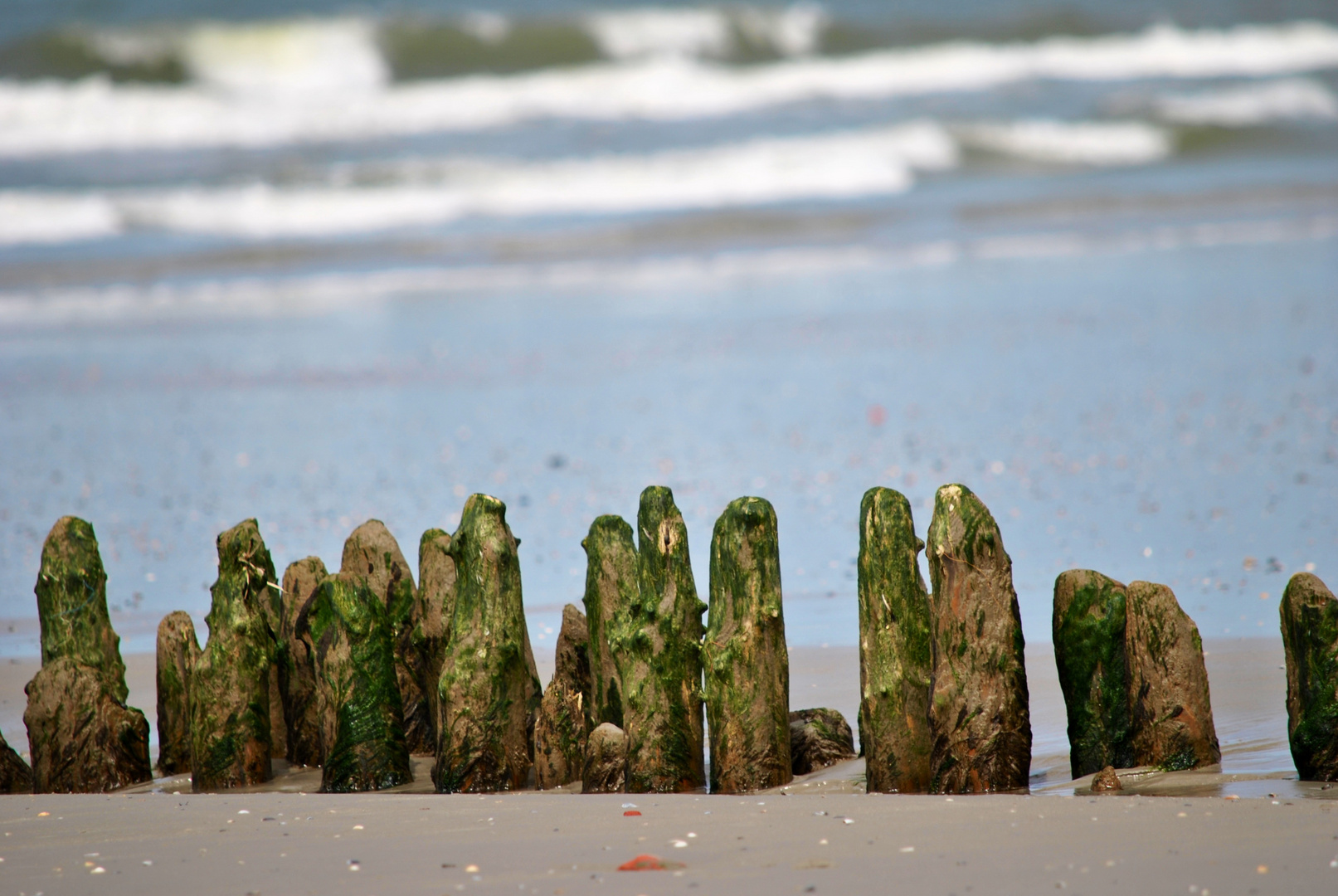 Holzbuhne am Strand