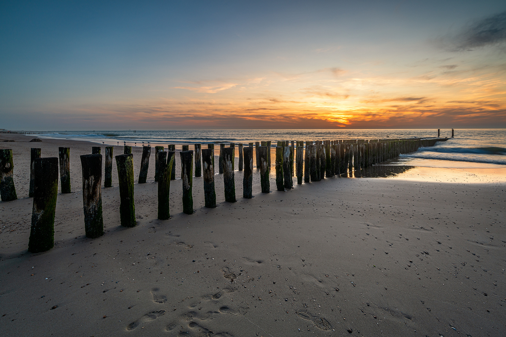 Holzbuhne am Strand von Domburg