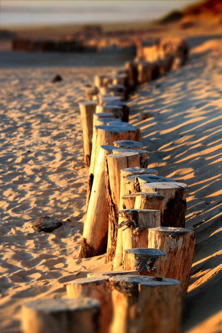 Holzbuhnen am Atlantik