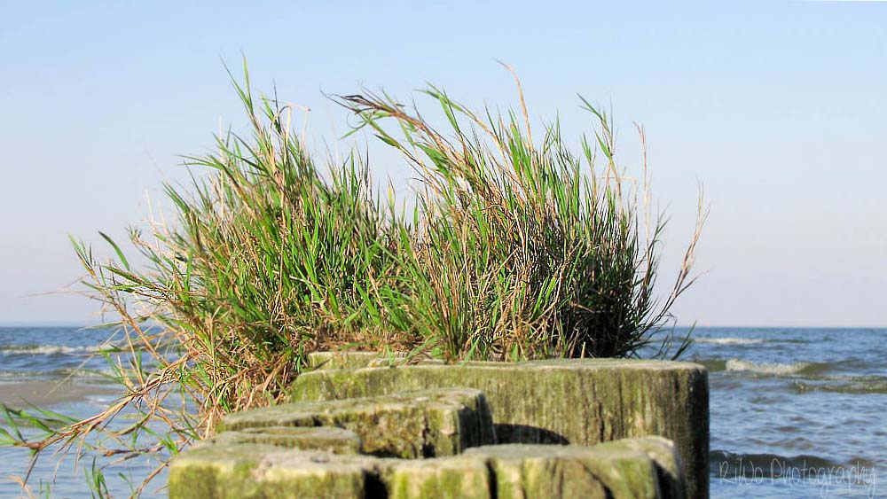 Holzbuhnen am Haffbad Ueckermünde