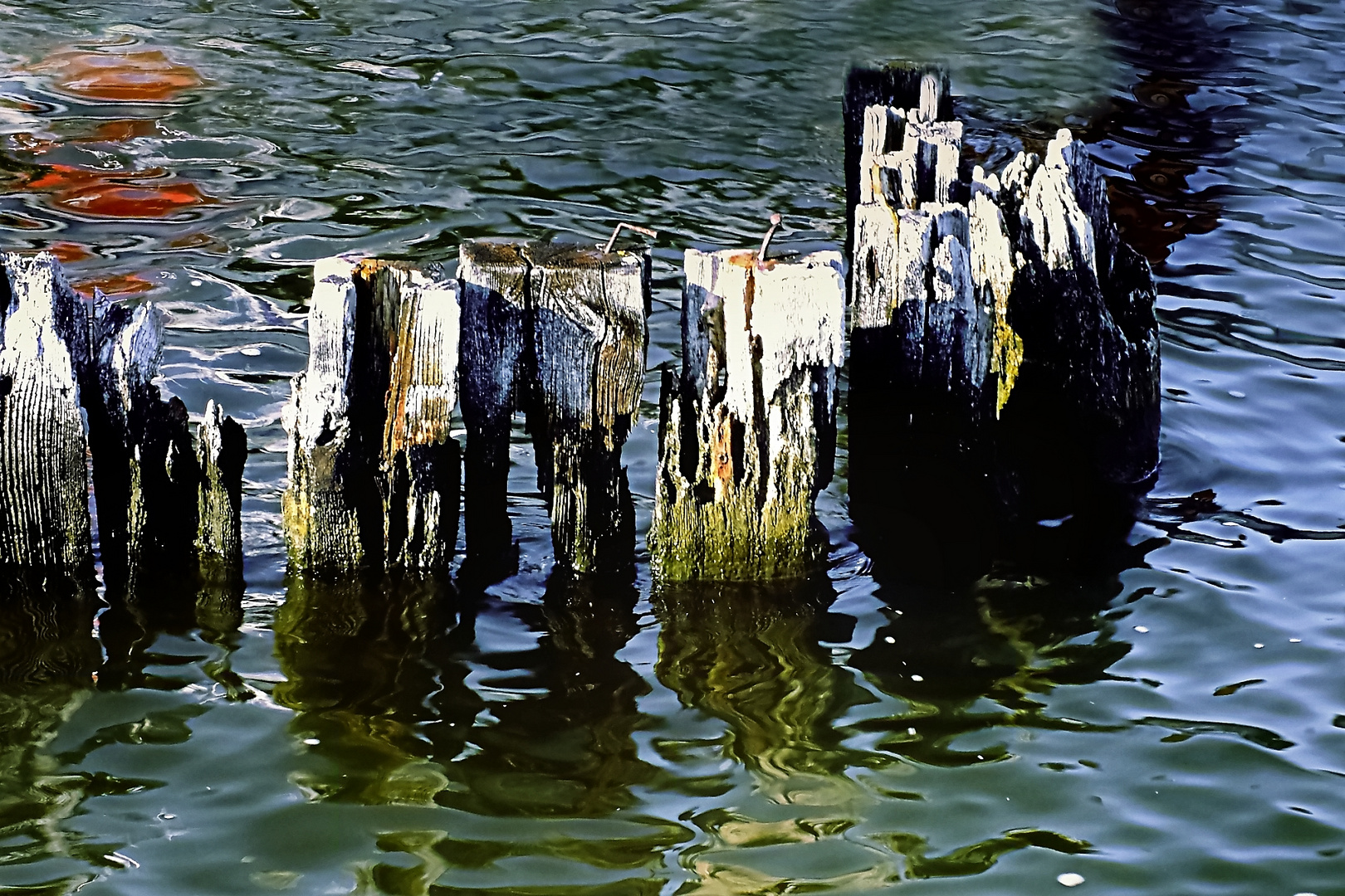 Holzbuhnen im Ostseewasser