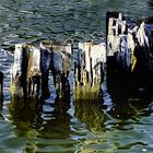 Holzbuhnen im Ostseewasser