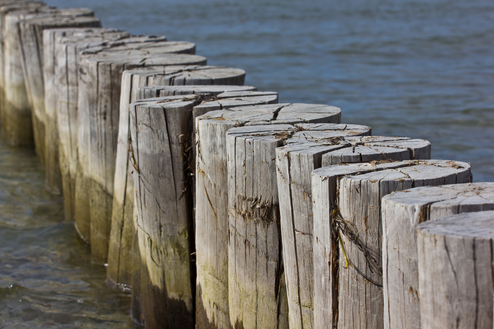 Holzbuhnen in der Ostsee