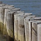 Holzbuhnen in der Ostsee