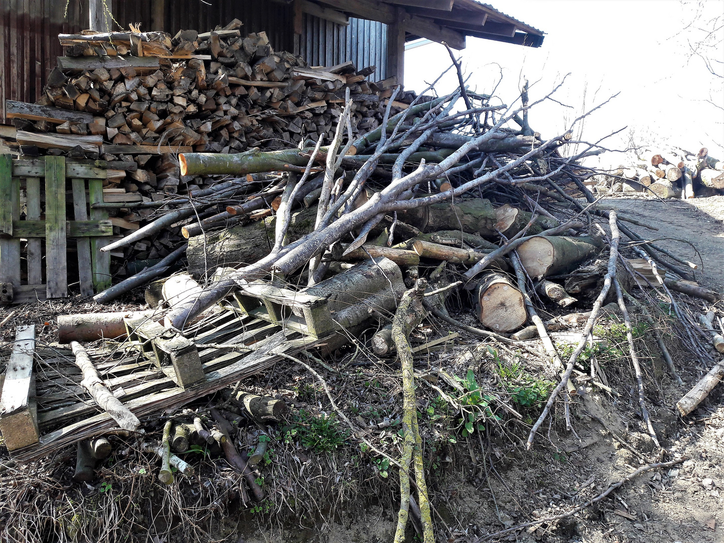 Holzchaos aus Hartholz