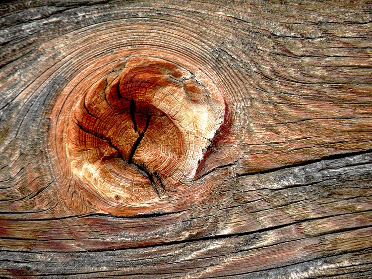 Holzdetail