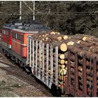 Holzeisenbahn III