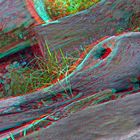 Holzente :-) (3D-Anaglyphe)