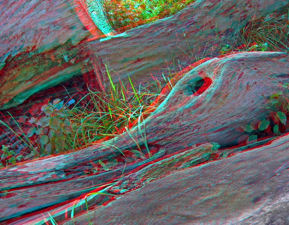 Holzente :-) (3D-Anaglyphe)