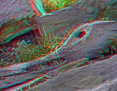 Holzente :-) (3D-Anaglyphe)