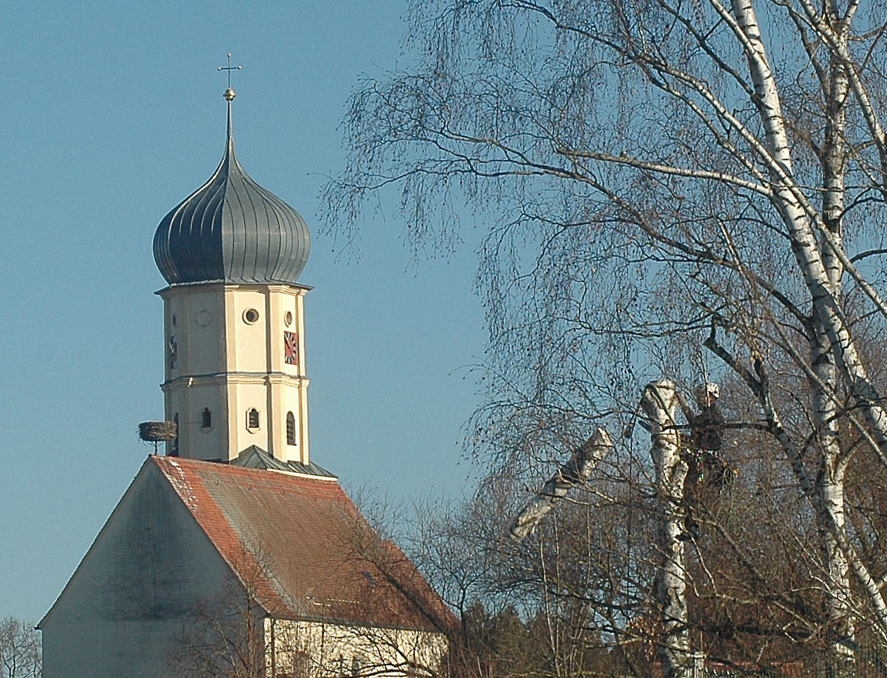 HOLZFÄLLARBEITEN in Diedorf