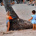 Holzfäller in der Karibik