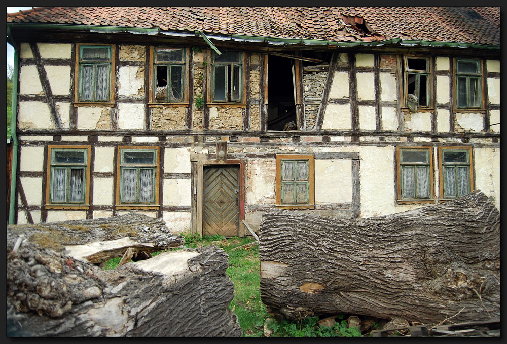 ...Holzfäller´s Traumhaus...