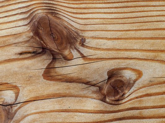 Holzfantasien von Mutter Natur  ...