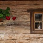 Holzfenster mit Blumen