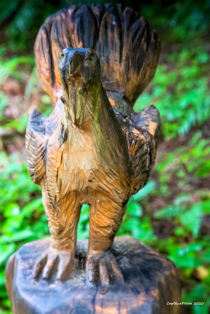 Holzfigur auf dem Felix Rundweg Seewald-Besenfeld