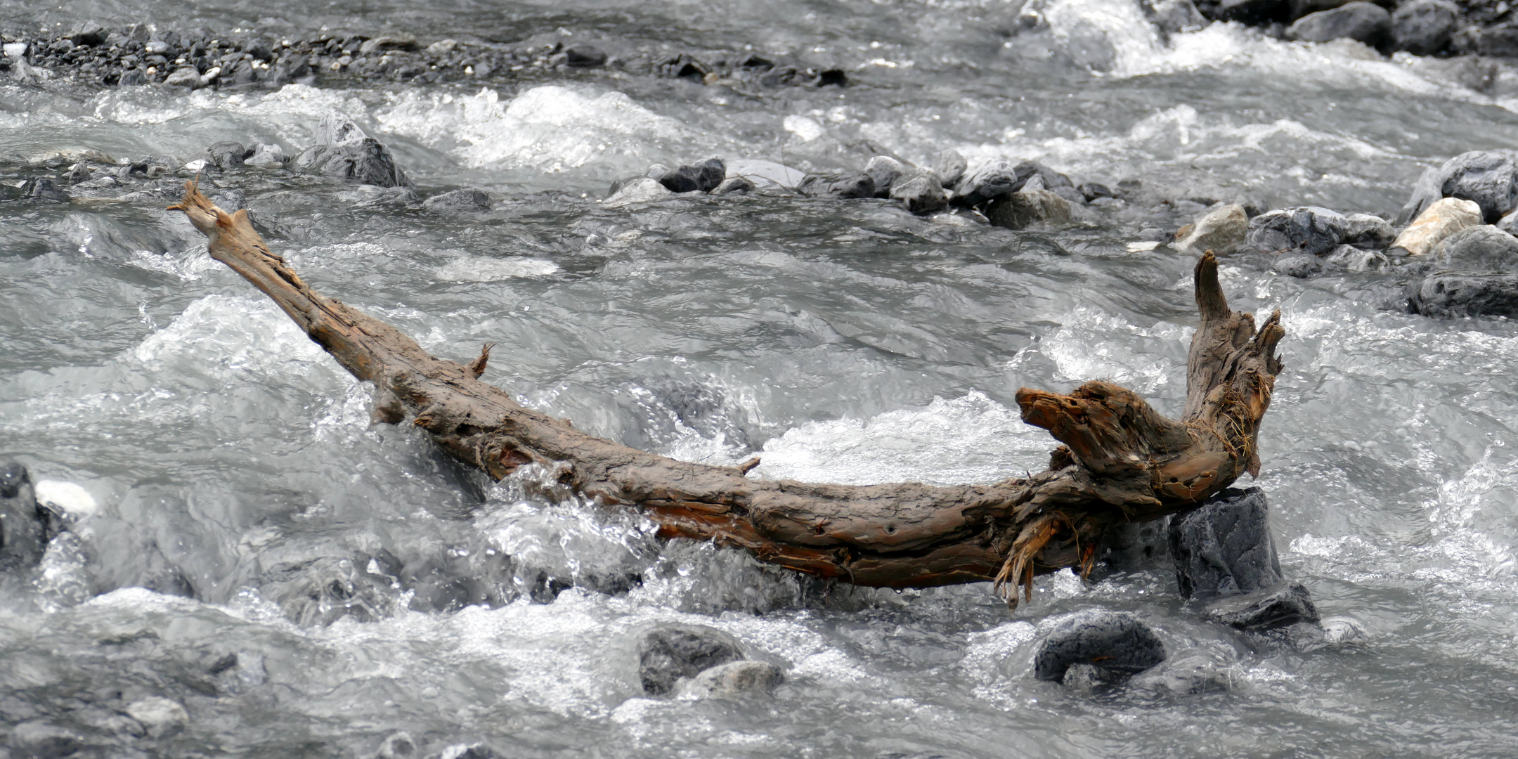 °°°° Holzfigur im Gebirgsbach °°°°