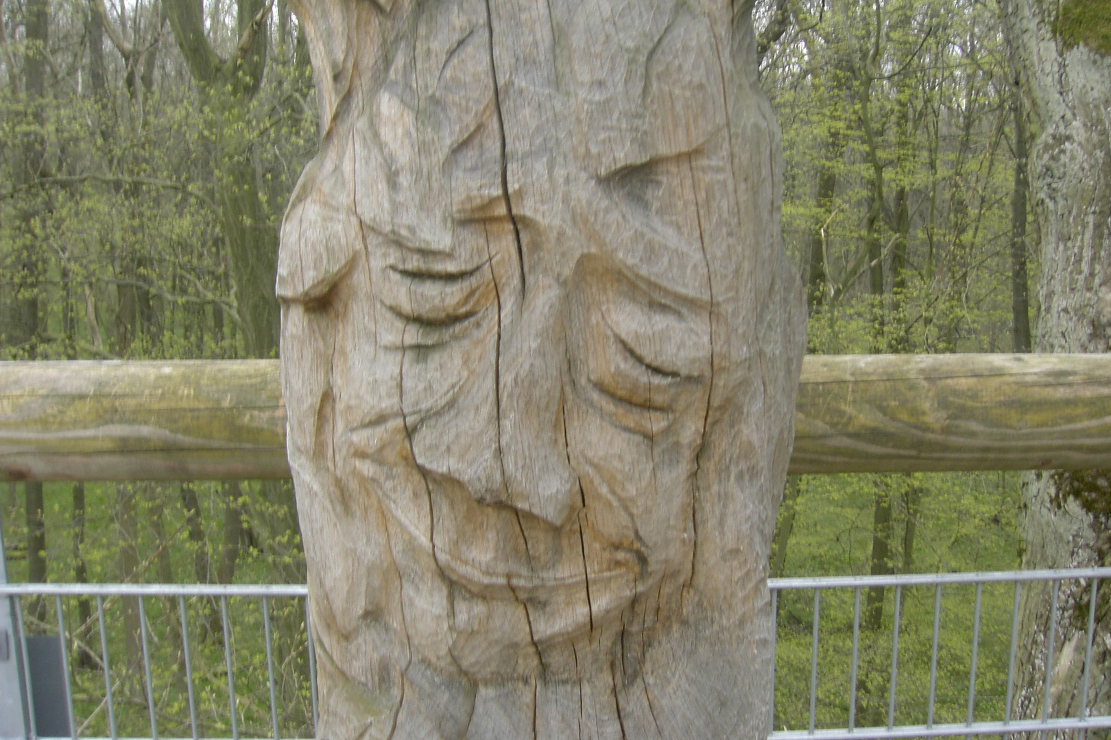 Holzfigur in Baum geschnitzt