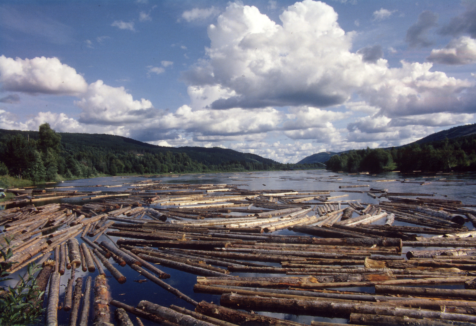 Holzflößen auf dem Klarälven/Värmland/Schweden