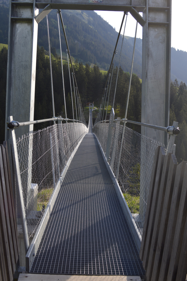 Holzgau brucke 2