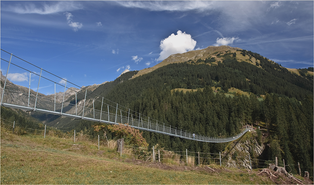 holzgauer hängebrücke...