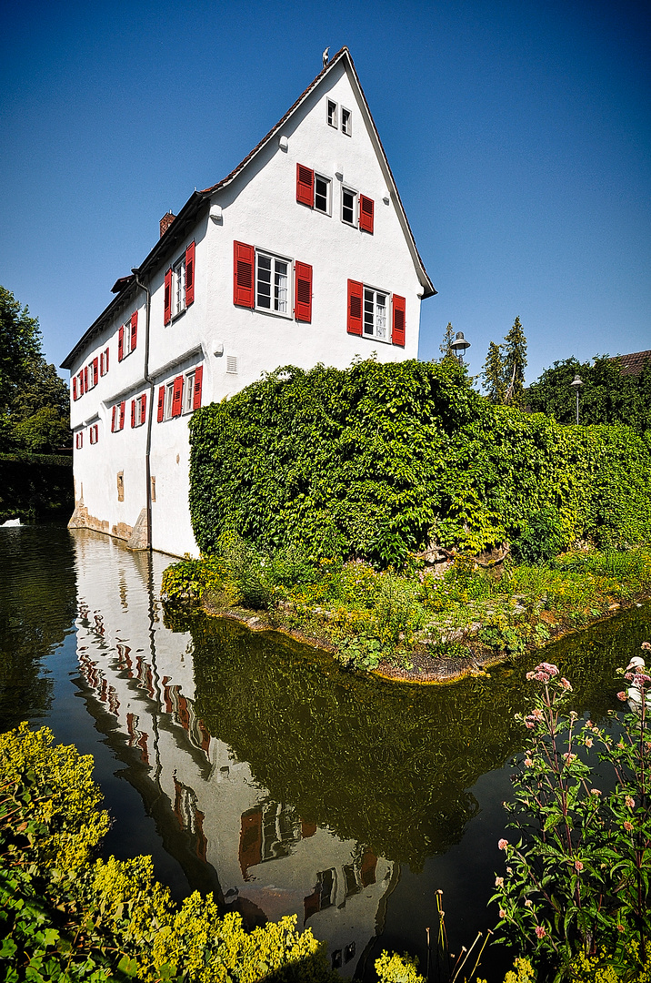 Holzgerlingen, Burg Kalteneck