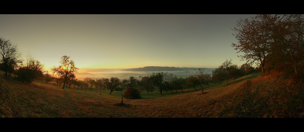 holzgerlingen