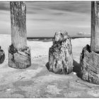 holzgeschichte aus des landes osten