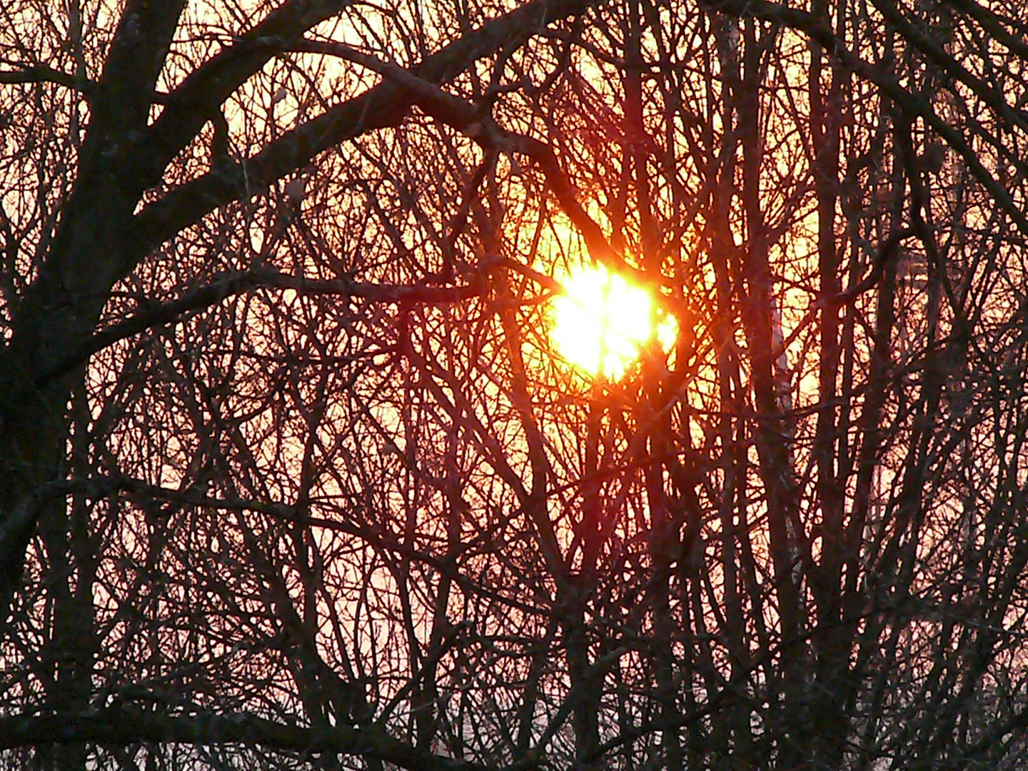 holzglühen- 2012