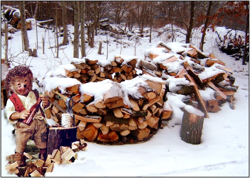 Holzhacken Foto Bild Marchen Digiart Bilder Auf Fotocommunity