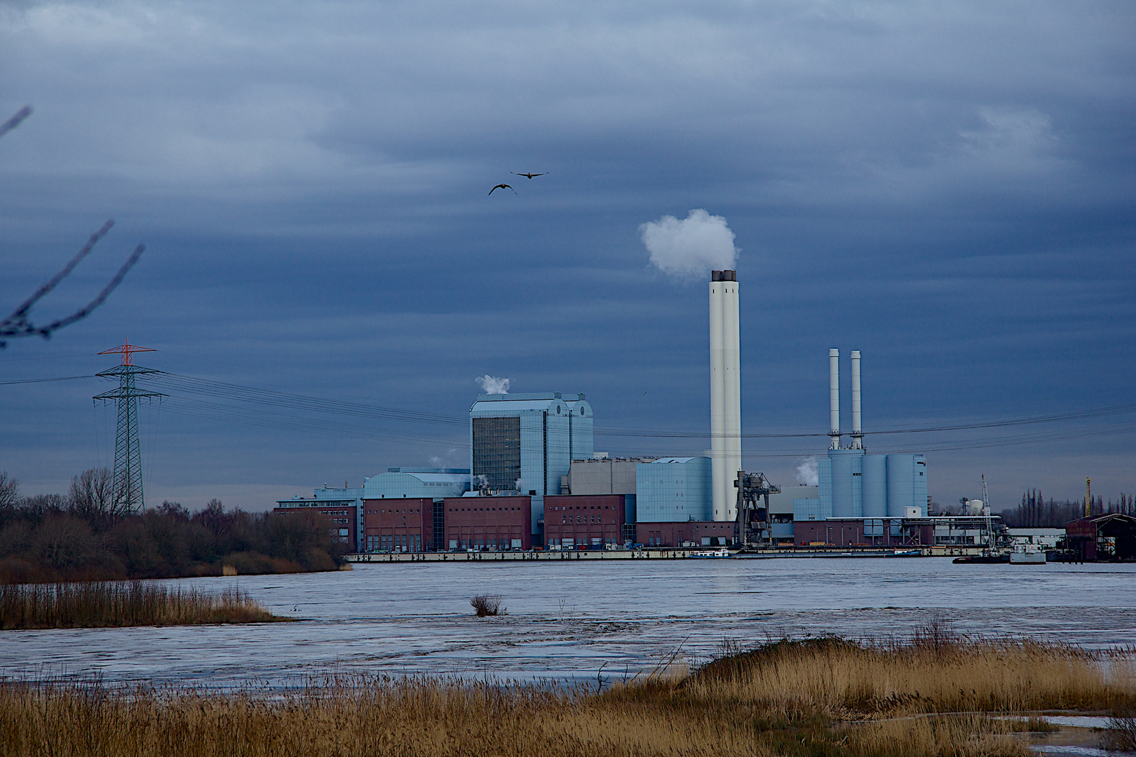 Holzhafen in Hamburg