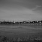 Holzhafen und Alte Dove-Elbe mit Süßwasserwatt