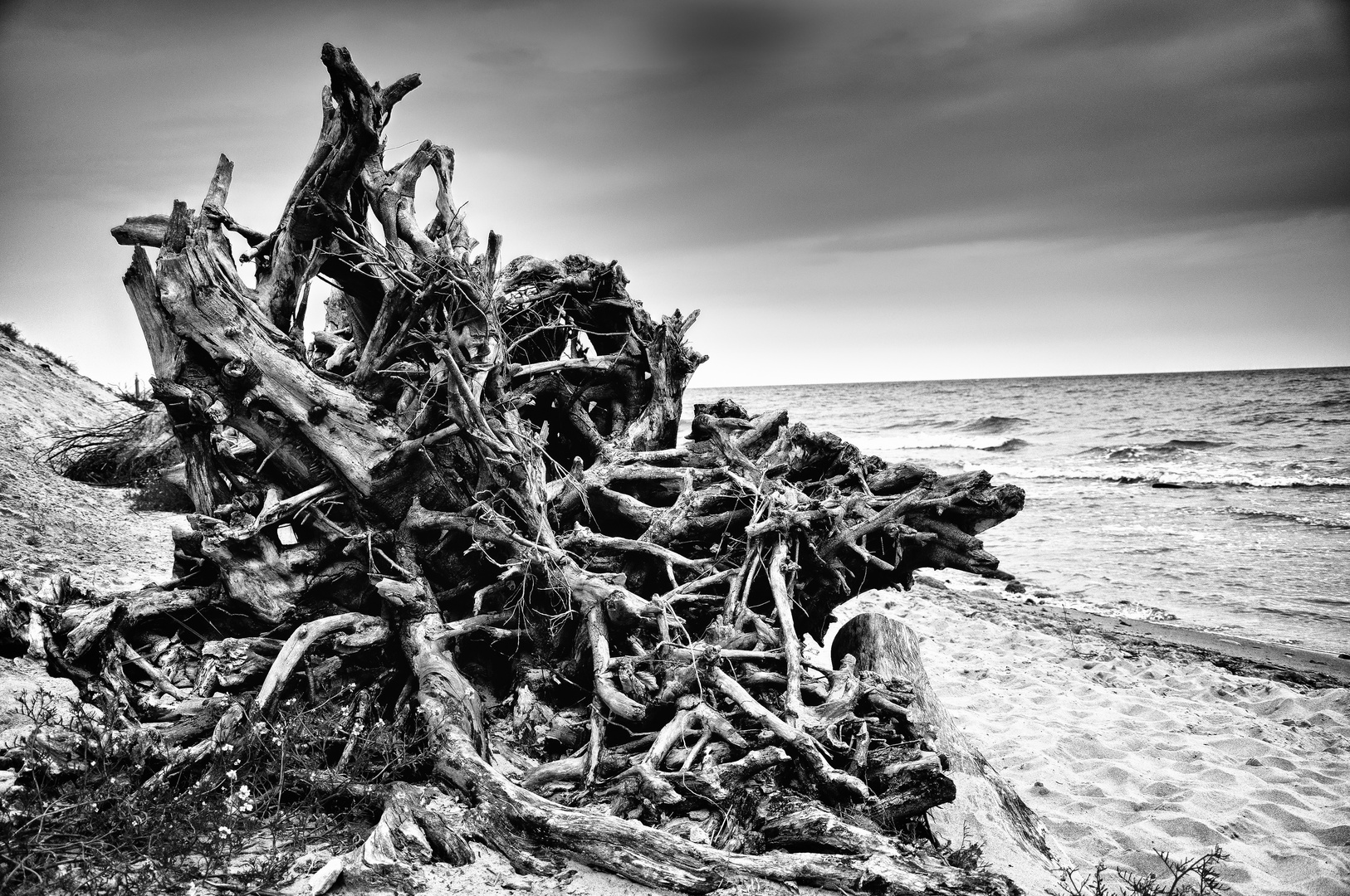 Holzhaufen in schwarzweiß