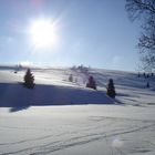 Holzhau/Moldava im Winter