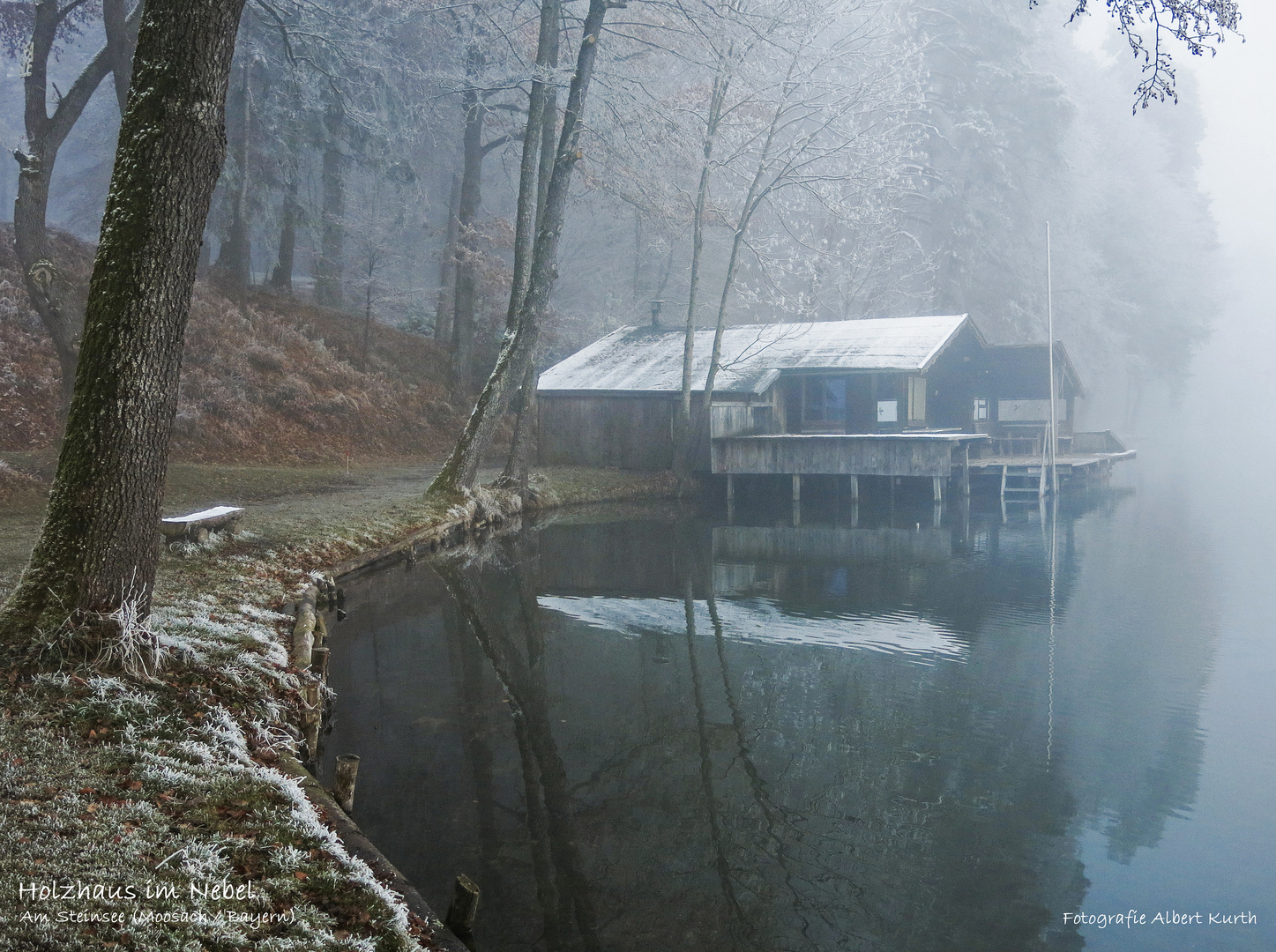 Holzhaus im Nebel