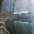 Holzhaus im Nebel