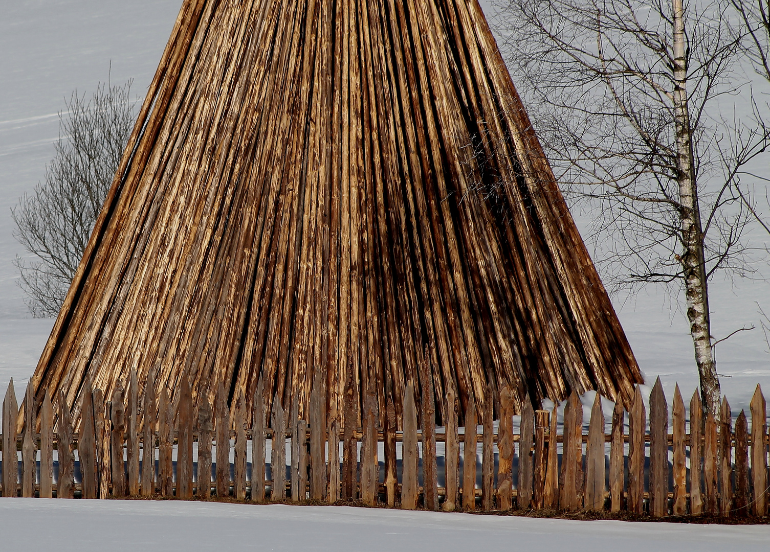 Holzhaus mal anders