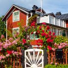 Holzhaus mit Blumen