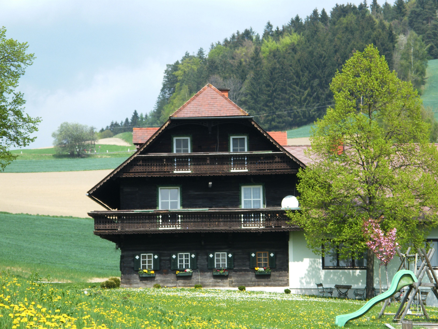 Holzhaus mit Schönheitsfleck