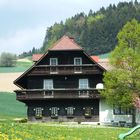 Holzhaus mit Schönheitsfleck