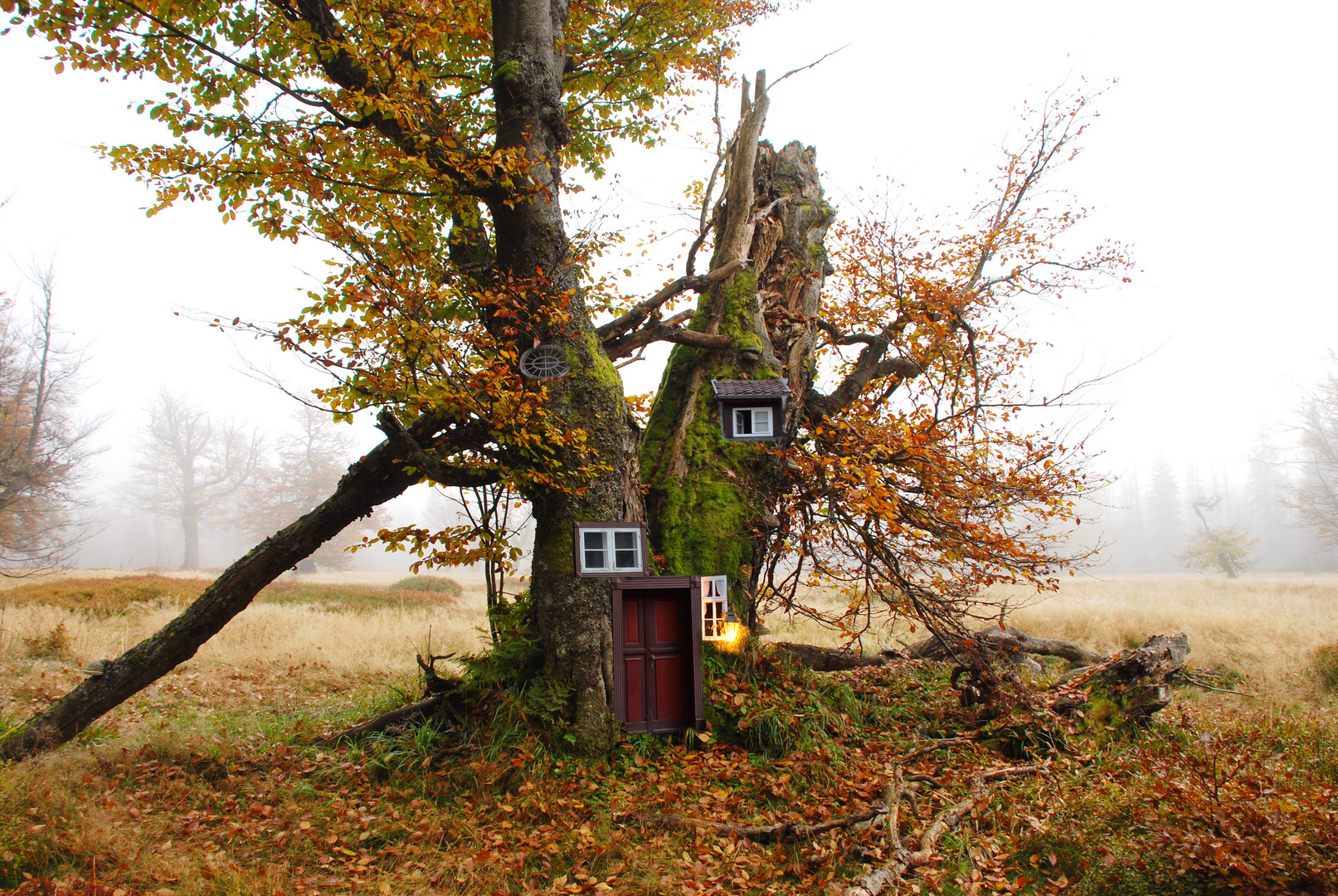 Holzhaus: ökologisch, nachhaltig, umweltfreundlich