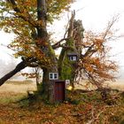 Holzhaus: ökologisch, nachhaltig, umweltfreundlich