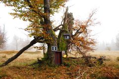 Holzhaus: ökologisch, nachhaltig, umweltfreundlich