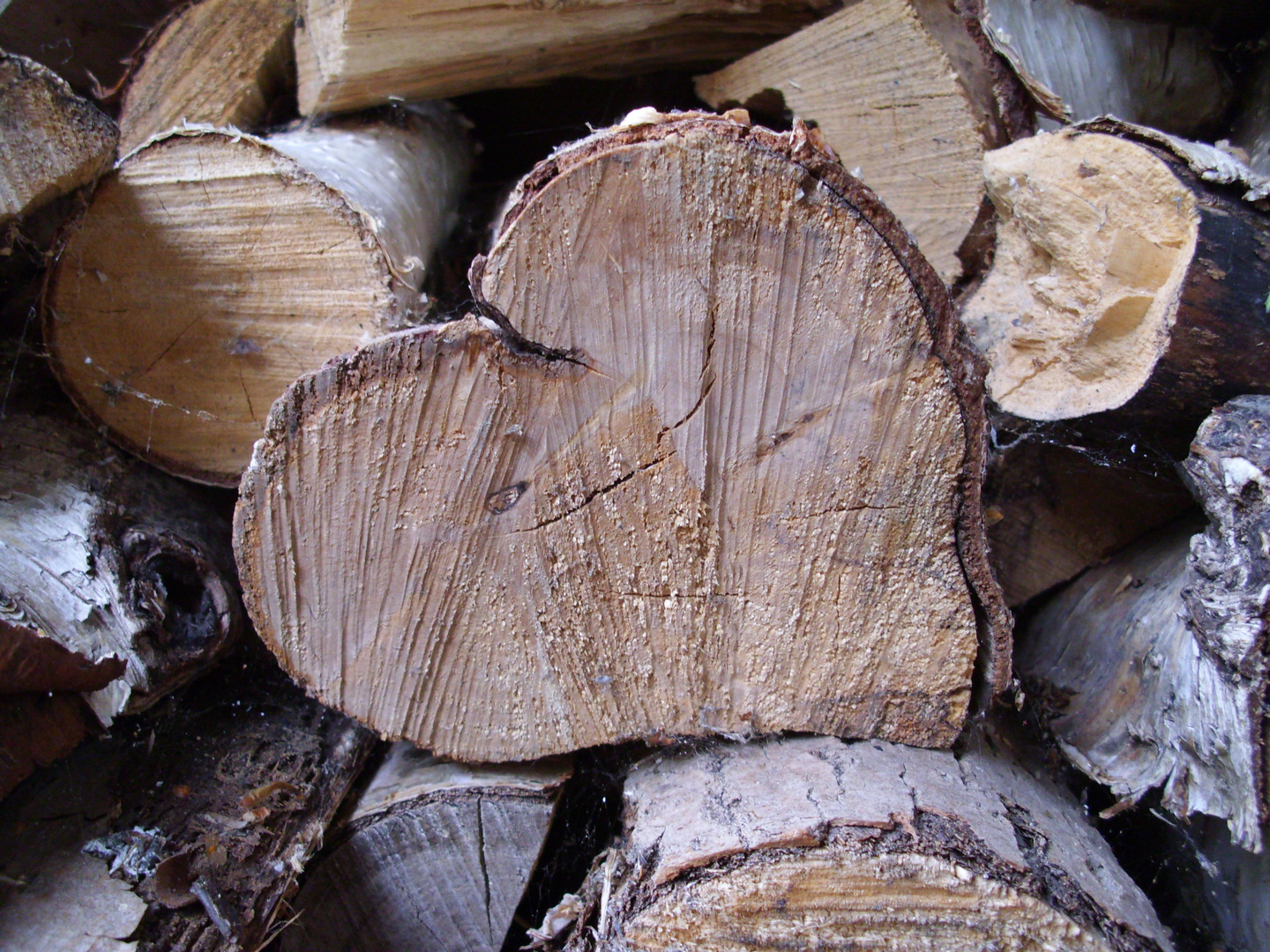 Bild Von Papier Auf Holz Ubertragen