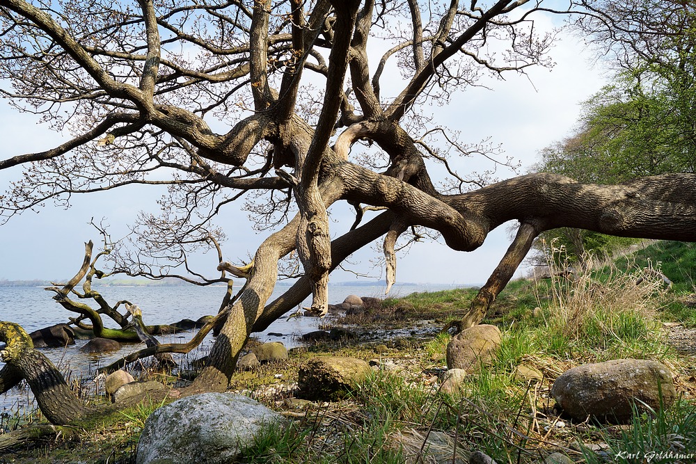 Holzhof 1 Foto & Bild | deutschland, europe, schleswig- holstein Bilder