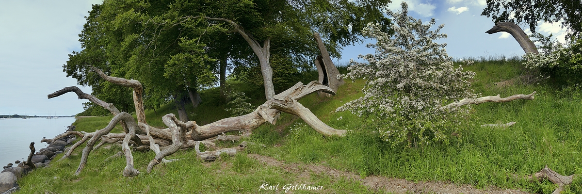 Holzhof - Panorama Loch Ness